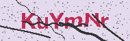Güvenlik Kodu
